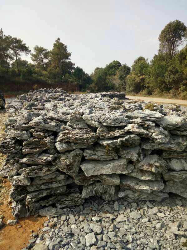 1487228703903240.jpg 223441592222077208.jpg