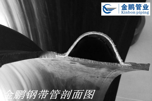 1496828973241024.jpg 金鵬鋼帶管坡面圖z02.jpg