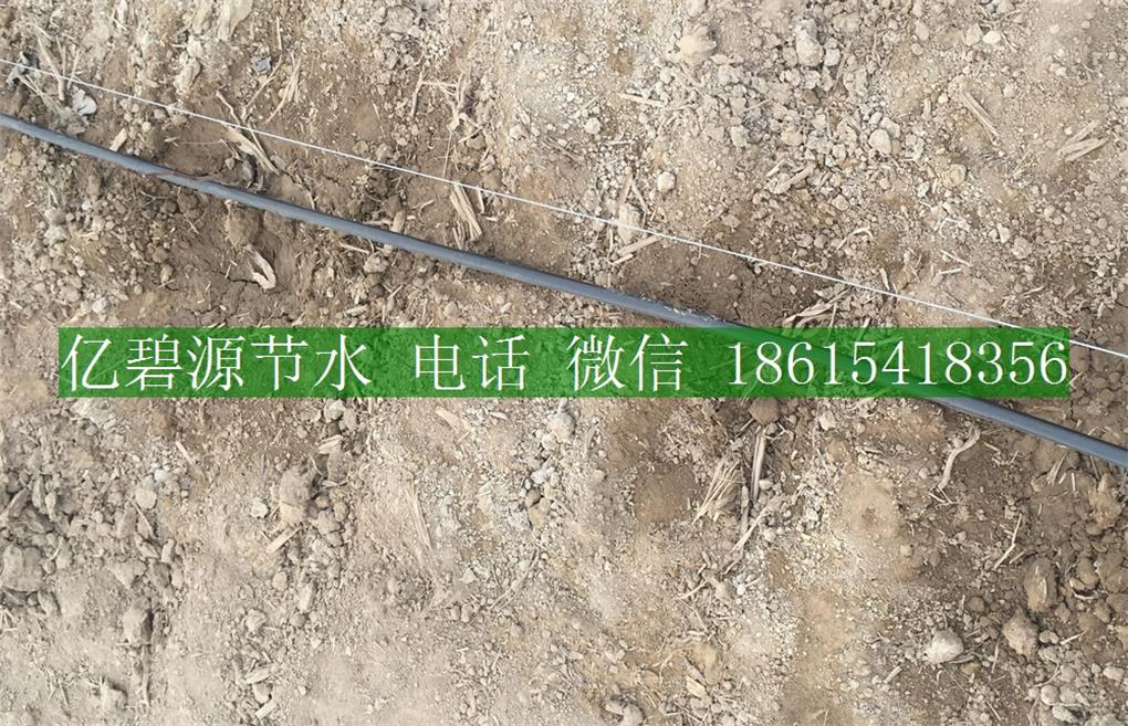 1470193145428473.jpg 果樹滴灌23.jpg