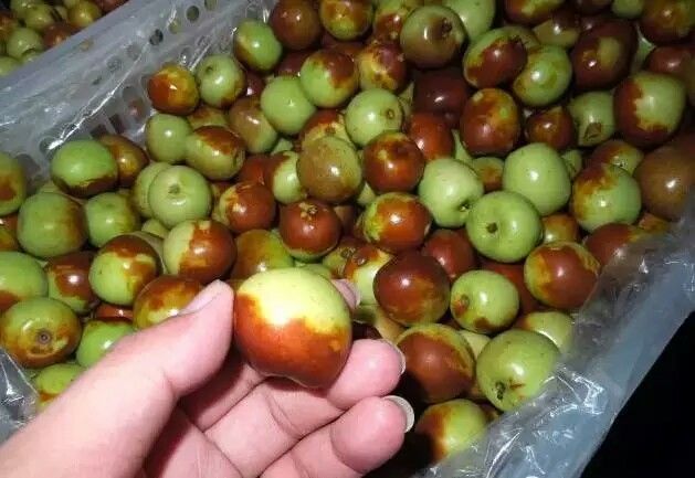 1473661882153507.jpg webwxgetmsgimg (8).jpg