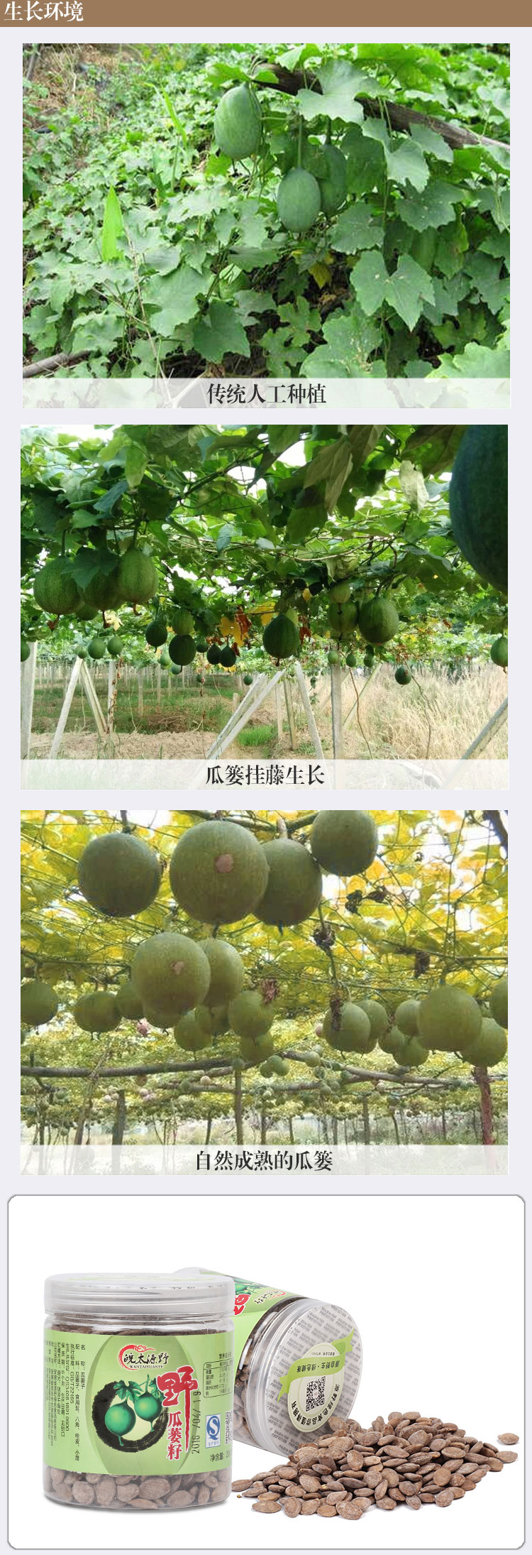 1465289216158908.jpg 未標題-1-拷貝_04.jpg