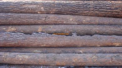 1472181004737192.jpg u=369602617,527647627&fm=21&gp=0.jpg