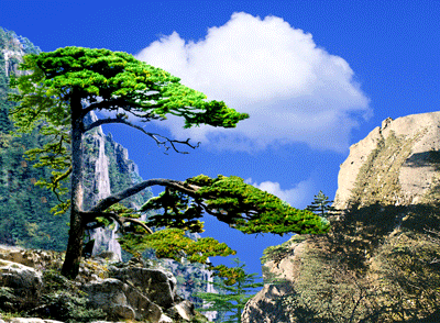 1502768354984050.jpg 2823756966362266649.jpg