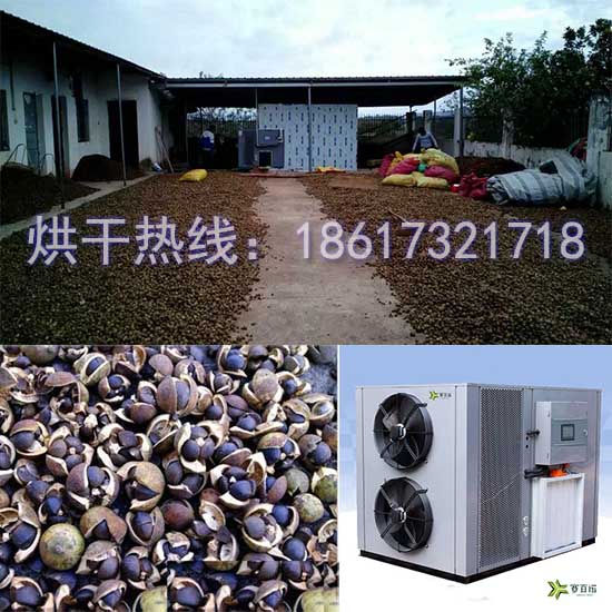 油茶籽烘干機1.jpg