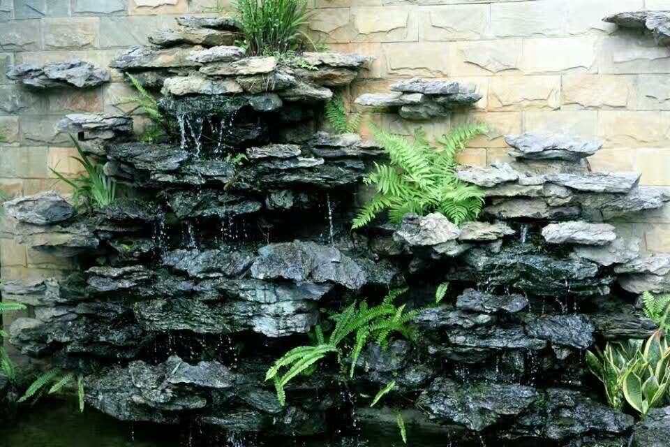 1487228708157000.jpg 716819529416952205.jpg