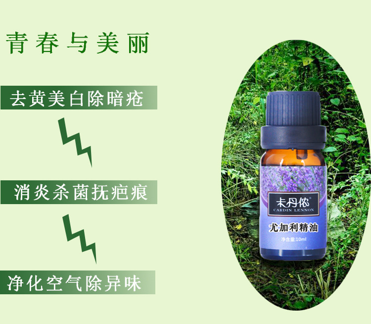 1492480482224927.jpg 3140258242_835616735.jpg