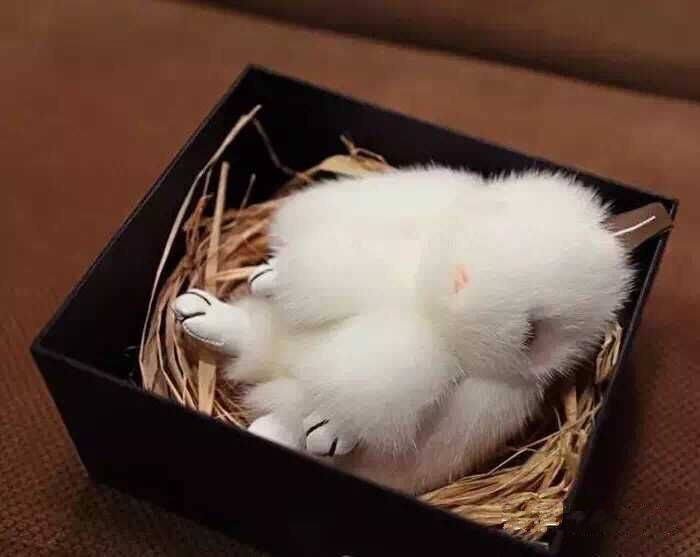 QQ圖片20151001094105