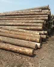 1472181018103190.jpg u=4160331307,2164691590&fm=21&gp=0.jpg