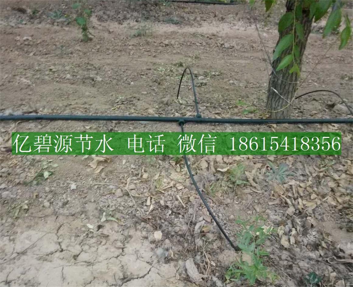 1470035877867836.jpg 果樹滴灌4.jpg
