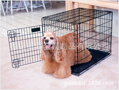 20049101650061655(1)