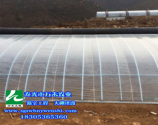 1460615658824780.jpg 幾字鋼溫室.jpg