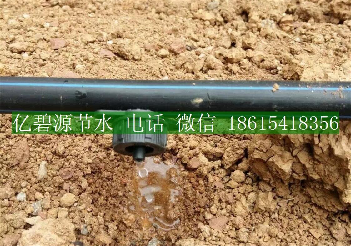 1470035186996322.jpg 果樹滴灌15.jpg