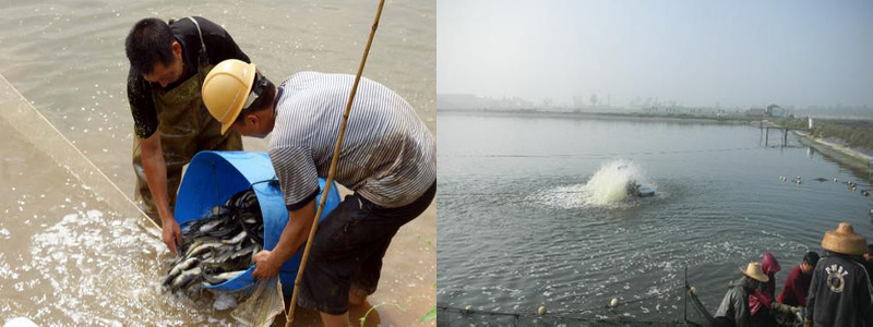 1473916165128718.jpg 1-160504114621146 (1).jpg