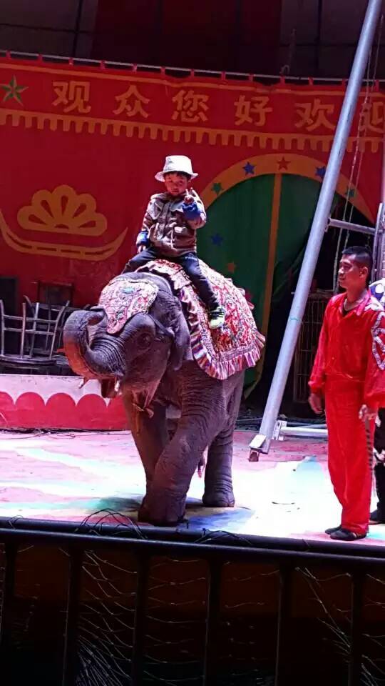 1513927435687839.jpg 1051366113.jpg