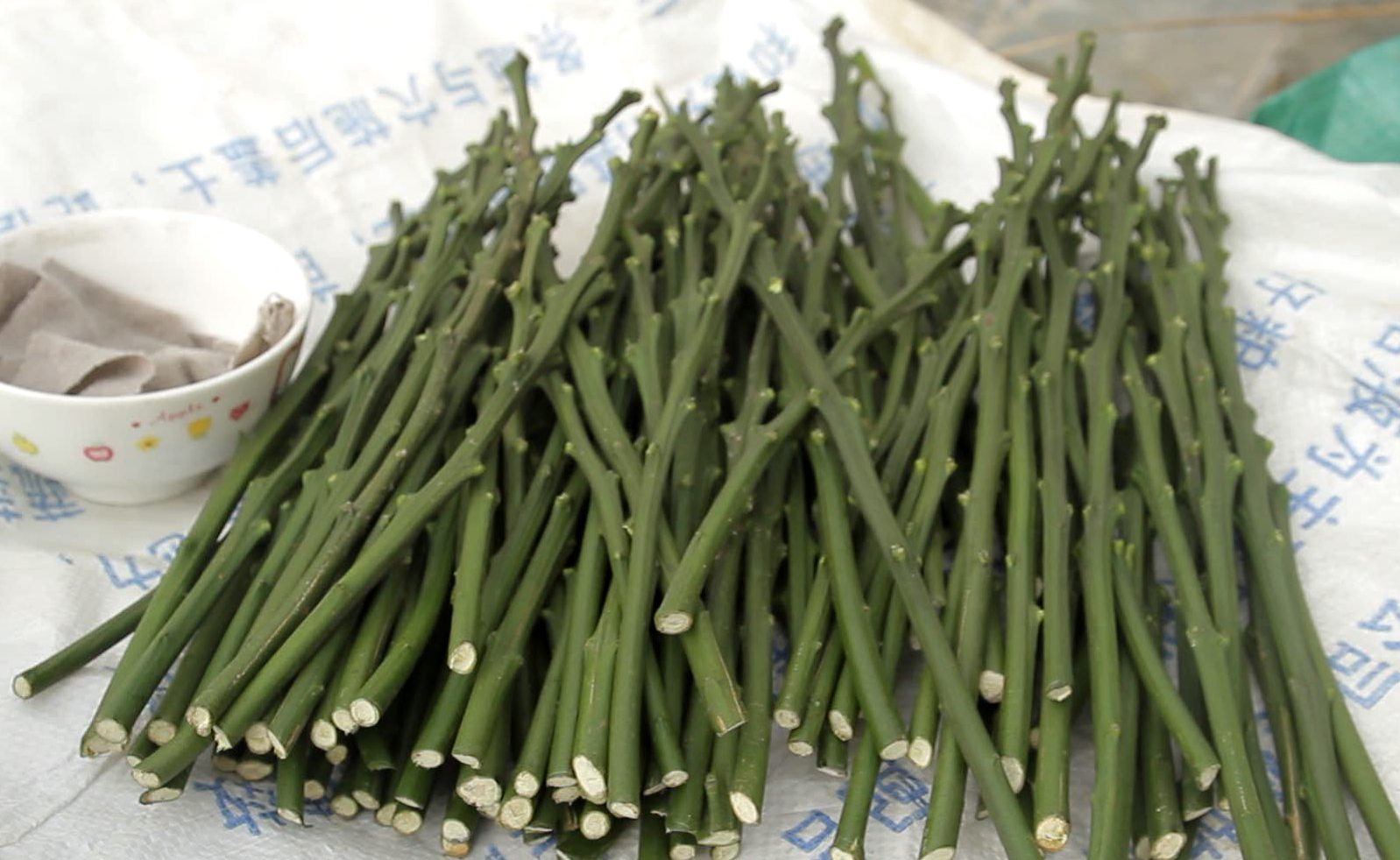 1473989977469277.png QQ圖片20160530172355.png