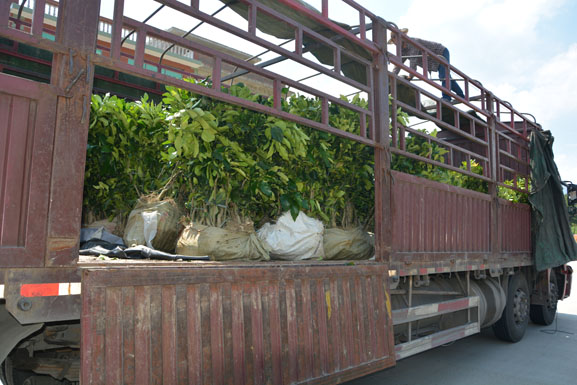 1474599574858979.jpg DSC_1505.JPG