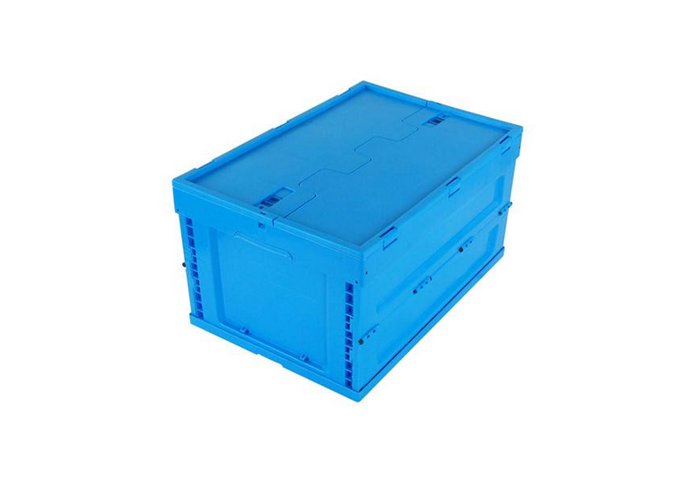 1504155809960673.jpg 33.jpg