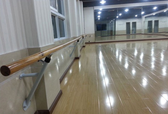 1494126703431529.png 舞蹈把桿3.png