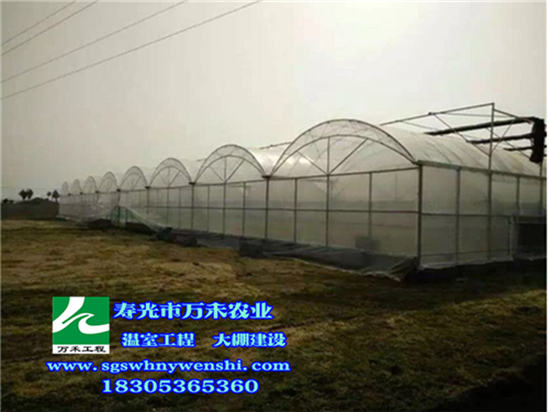 1481167347454136.jpg 簡易.jpg