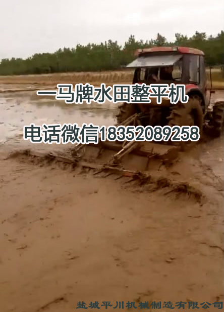 1506753231729044.jpg 大豐農場P圖4.jpg