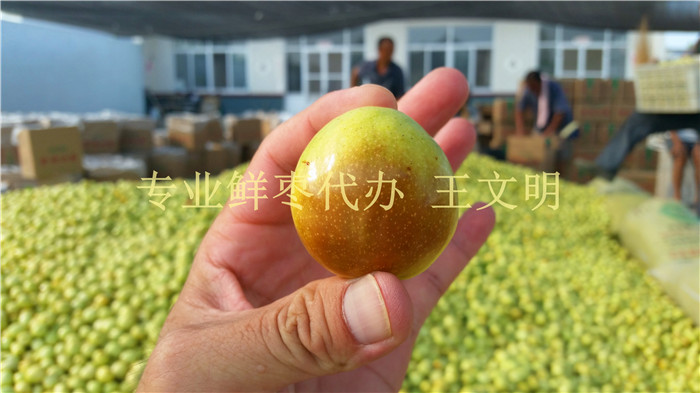 1471664633895428.jpg 20150815_161552.jpg