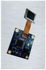 凱邁AFM31半導體指紋模塊