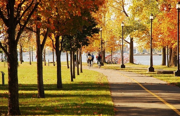 1491550262992215.jpg 01180d8013874eea8c9a47a0b58f16f4_th.jpg