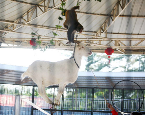 1513927423417316.png 120739pxya0raaouuqlzlj.png