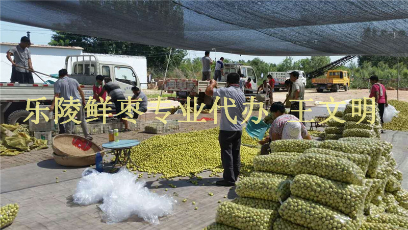 1471664656656967.jpg mmexport1440316382572.jpg