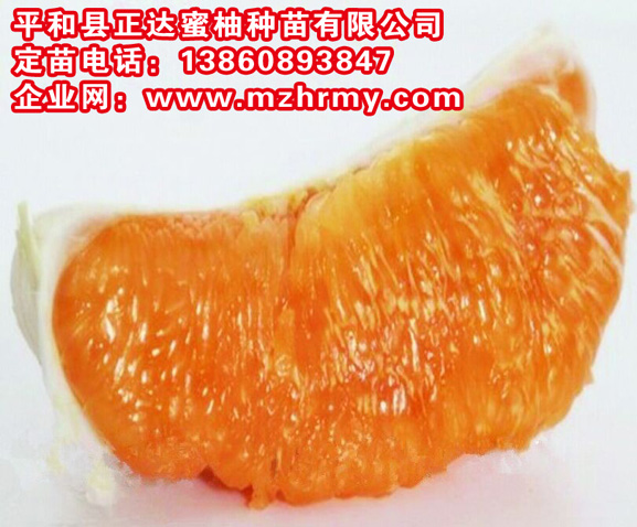 1476157068675787.jpg QQ圖片20150403141048.jpg