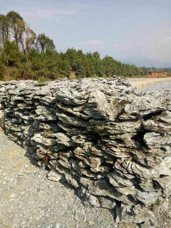 1487228705434985.jpg 395739706515228858.jpg