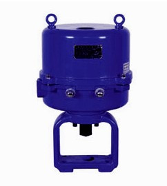 1475974974548078.jpg 381RSC1.jpg