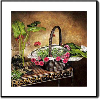 1502768242250737.gif 1851062tnjfdqlzunfzblb.gif