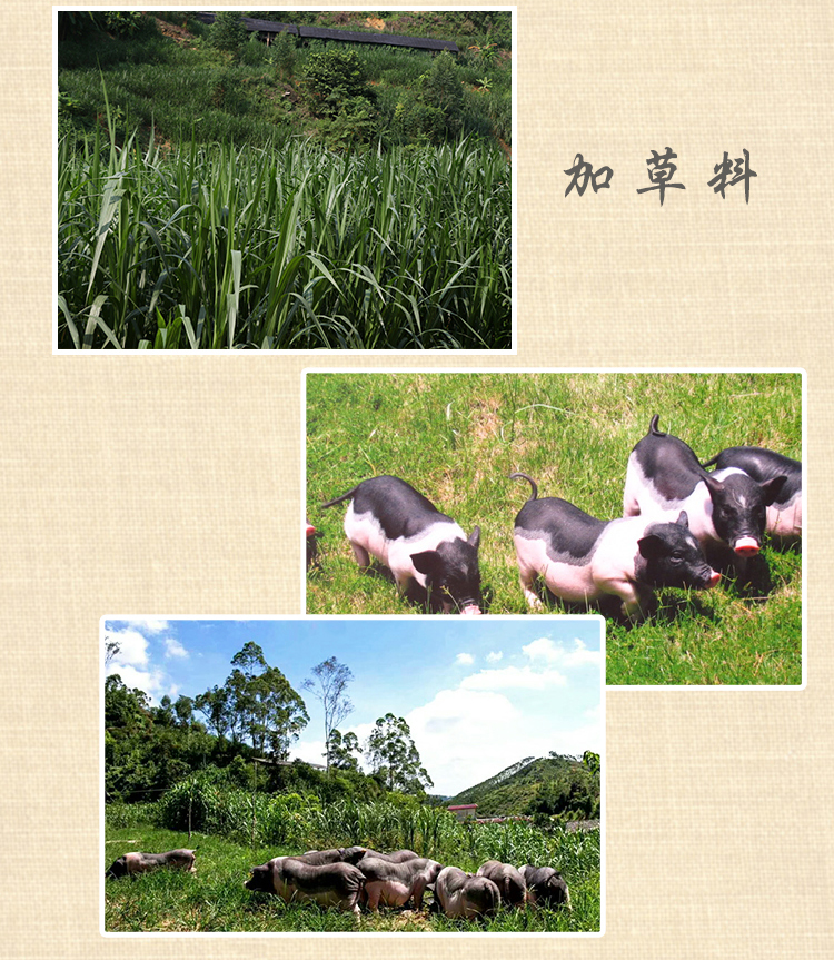 1515846103373198.jpg 臘肉詳情頁_06.jpg