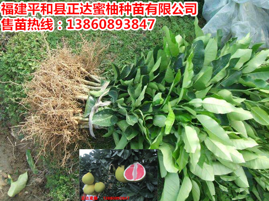 1488181396655872.jpg 1_副本.jpg