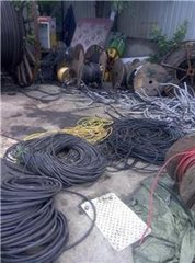 1471317256581065.jpg t015e32c1b1122a4949.jpg