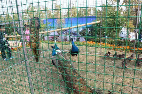 1513821705481361.jpg 7055057.jpg