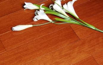 1471920521973115.jpg u=2460478762,2385969053&fm=21&gp=0.jpg